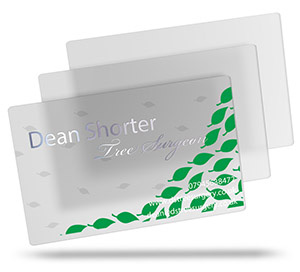Dean Shorter